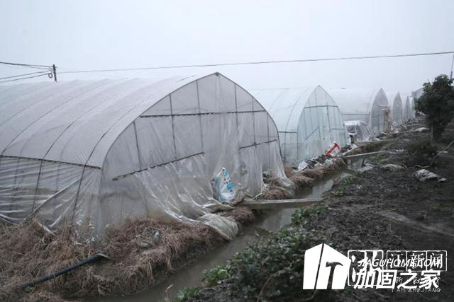 大雪來臨加固大棚 減少農(nóng)業(yè)損失！